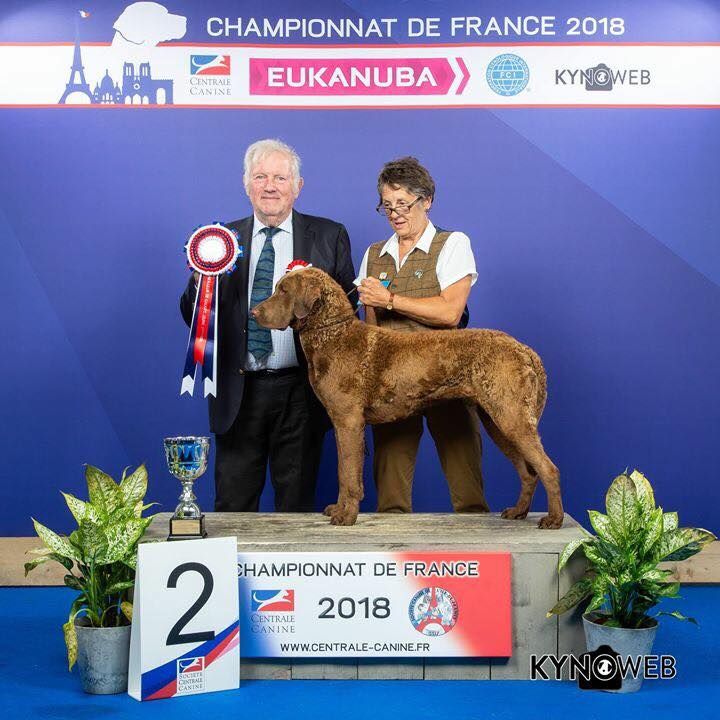 Of Potomac River - Championnat de France - Le Bourget